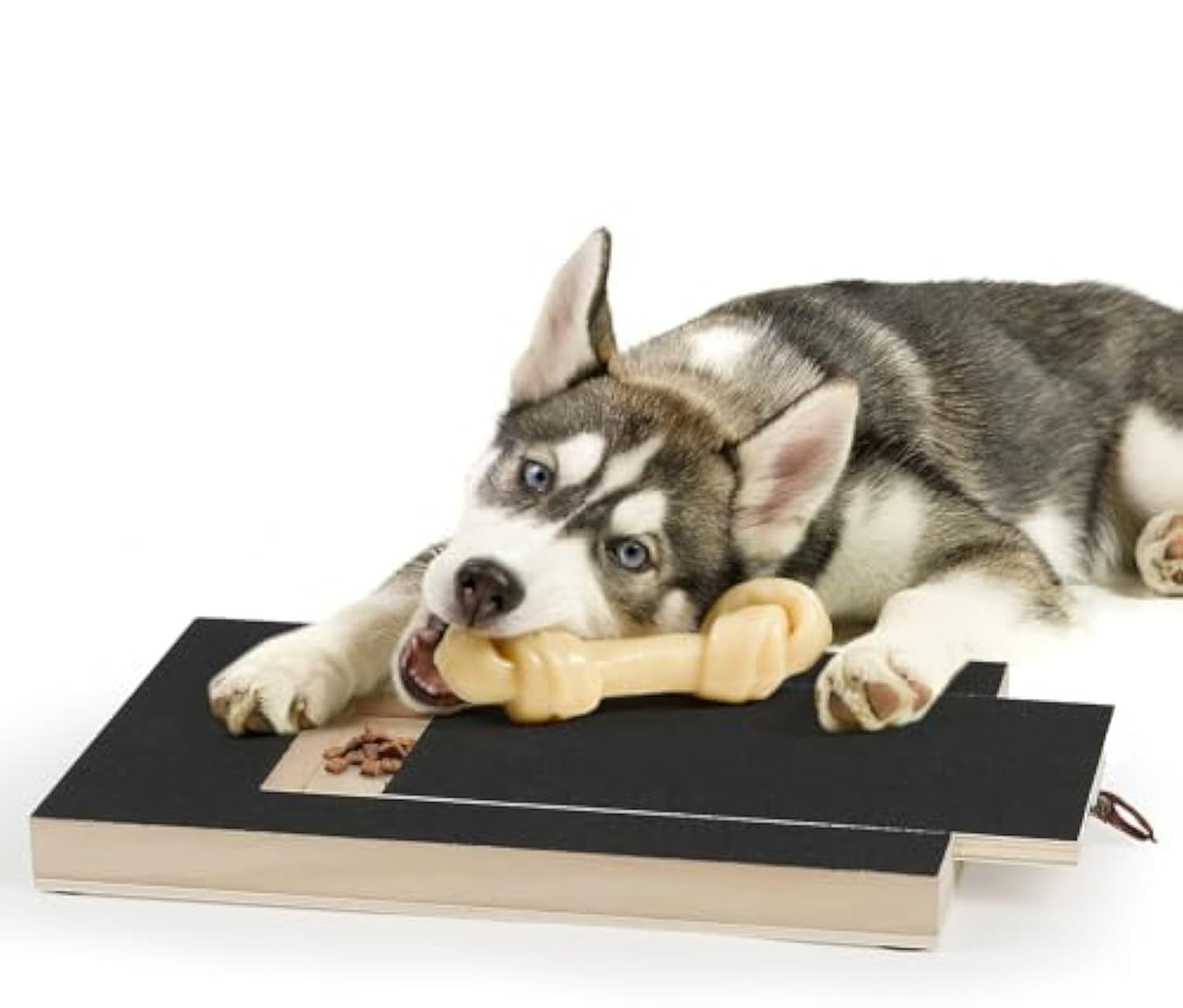 Dog Nail Scratch Board- ToolsPaw®